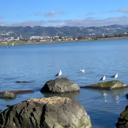 Berkeley Marina - Berkeley
