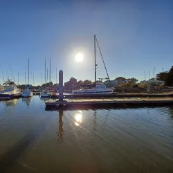 Berkeley Marina - Berkeley
