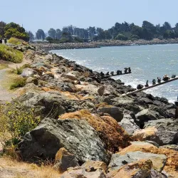 Berkeley Marina - Berkeley