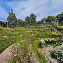 Berkeley Rose Garden - Berkeley