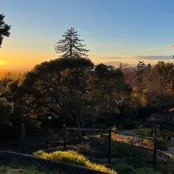 Berkeley Rose Garden - Berkeley