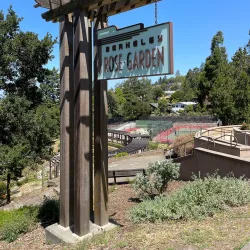 Berkeley Rose Garden - Berkeley