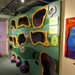 Habitot Children's Museum - Berkeley