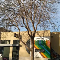 Telegraph Avenue - Berkeley