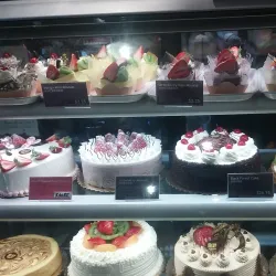 Telegraph Avenue - Berkeley