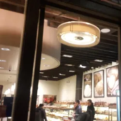 Telegraph Avenue - Berkeley