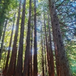 Tilden Regional Park - Berkeley
