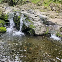 Tilden Regional Park - Berkeley