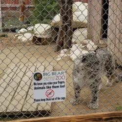 Big Bear Alpine Zoo - Big Bear Lake