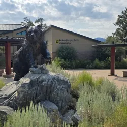 Big Bear Discovery Center - Big Bear Lake
