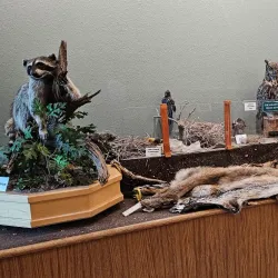 Big Bear Discovery Center - Big Bear Lake