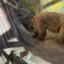 Big Bear Discovery Center - Big Bear Lake