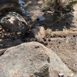 Castle Rock Trail - Big Bear Lake