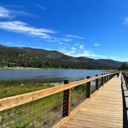 Stanfield Marsh Wildlife and Waterfowl Preserve - Big Bear Lake