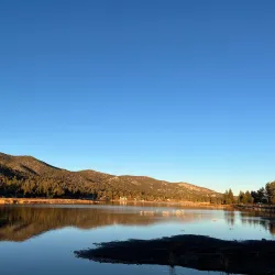 Stanfield Marsh Wildlife and Waterfowl Preserve - Big Bear Lake