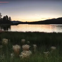 Stanfield Marsh Wildlife and Waterfowl Preserve - Big Bear Lake