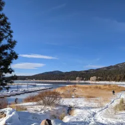 Stanfield Marsh Wildlife and Waterfowl Preserve - Big Bear Lake