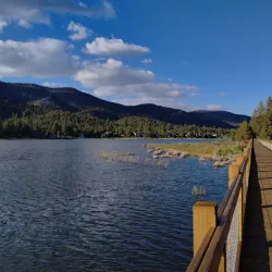 Stanfield Marsh Wildlife and Waterfowl Preserve - Big Bear Lake