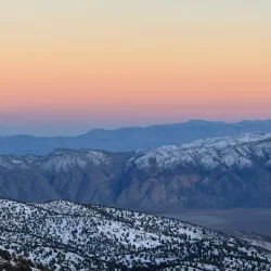 Ancient Bristlecone Pine Forest - Bishop
