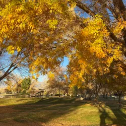 Bishop City Park - Bishop