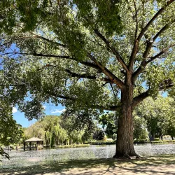 Bishop City Park - Bishop