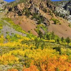 Bishop Creek Canyon - Bishop