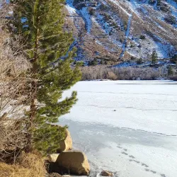 Bishop Creek Canyon - Bishop