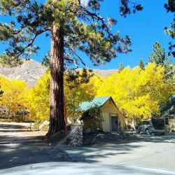 Bishop Creek Canyon - Bishop