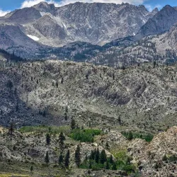 Bishop Creek Canyon - Bishop