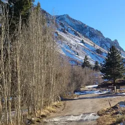 Bishop Creek Canyon - Bishop