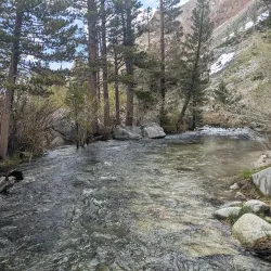 Bishop Creek Canyon - Bishop