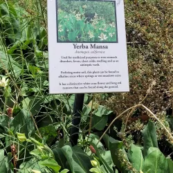 Bishop Paiute Tribe Cultural Center - Bishop