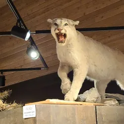 Bishop Paiute Tribe Cultural Center - Bishop