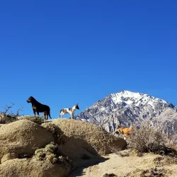 Buttermilk Country - Bishop