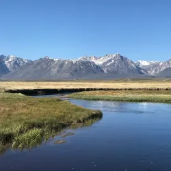 Owens River - Bishop