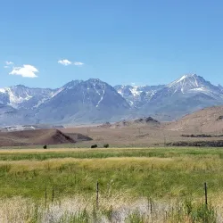 Owens River - Bishop