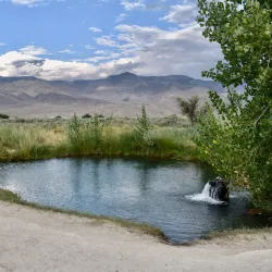 Owens River - Bishop