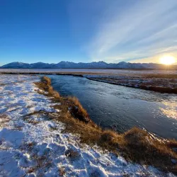 Owens River - Bishop