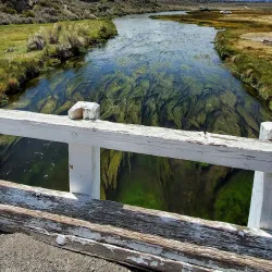 Owens River - Bishop