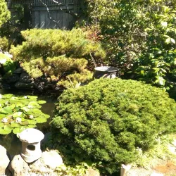 Bodega Bay Art Galleries - Bodega Bay