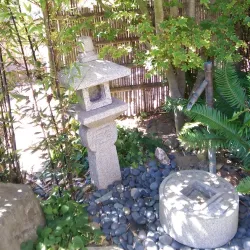 Bodega Bay Art Galleries - Bodega Bay