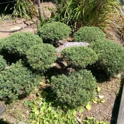 Bodega Bay Art Galleries - Bodega Bay