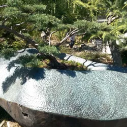 Bodega Bay Art Galleries - Bodega Bay