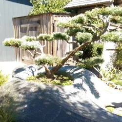 Bodega Bay Art Galleries - Bodega Bay