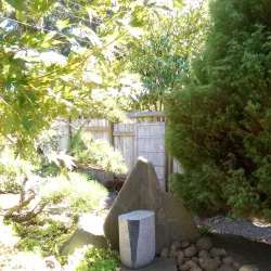 Bodega Bay Art Galleries - Bodega Bay