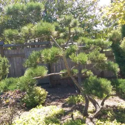 Bodega Bay Art Galleries - Bodega Bay