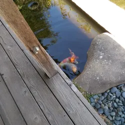 Bodega Bay Art Galleries - Bodega Bay