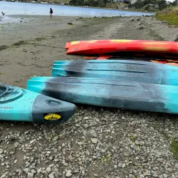 Bodega Bay Kayak Adventures - Bodega Bay