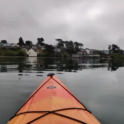 Bodega Bay Kayak Adventures - Bodega Bay