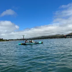 Bodega Bay Kayak Adventures - Bodega Bay